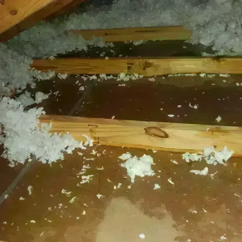 Attic Water Damage in Reedsville, WI