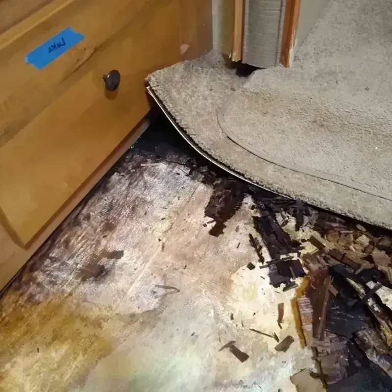 Best Wood Floor Water Damage Service in Reedsville, WI